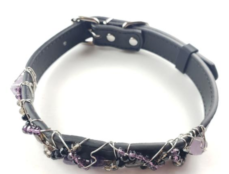 Large Dog Collar