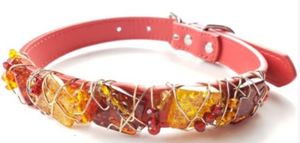 Amber Healing Dog Collar