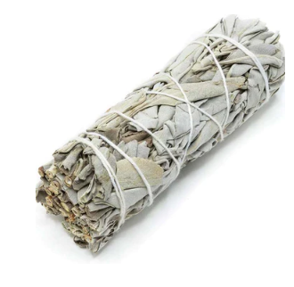 1 Bundle of Sage